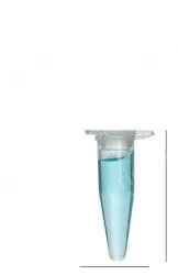 1000 0.2ml centrifuge tubes (culet bottom with cap).